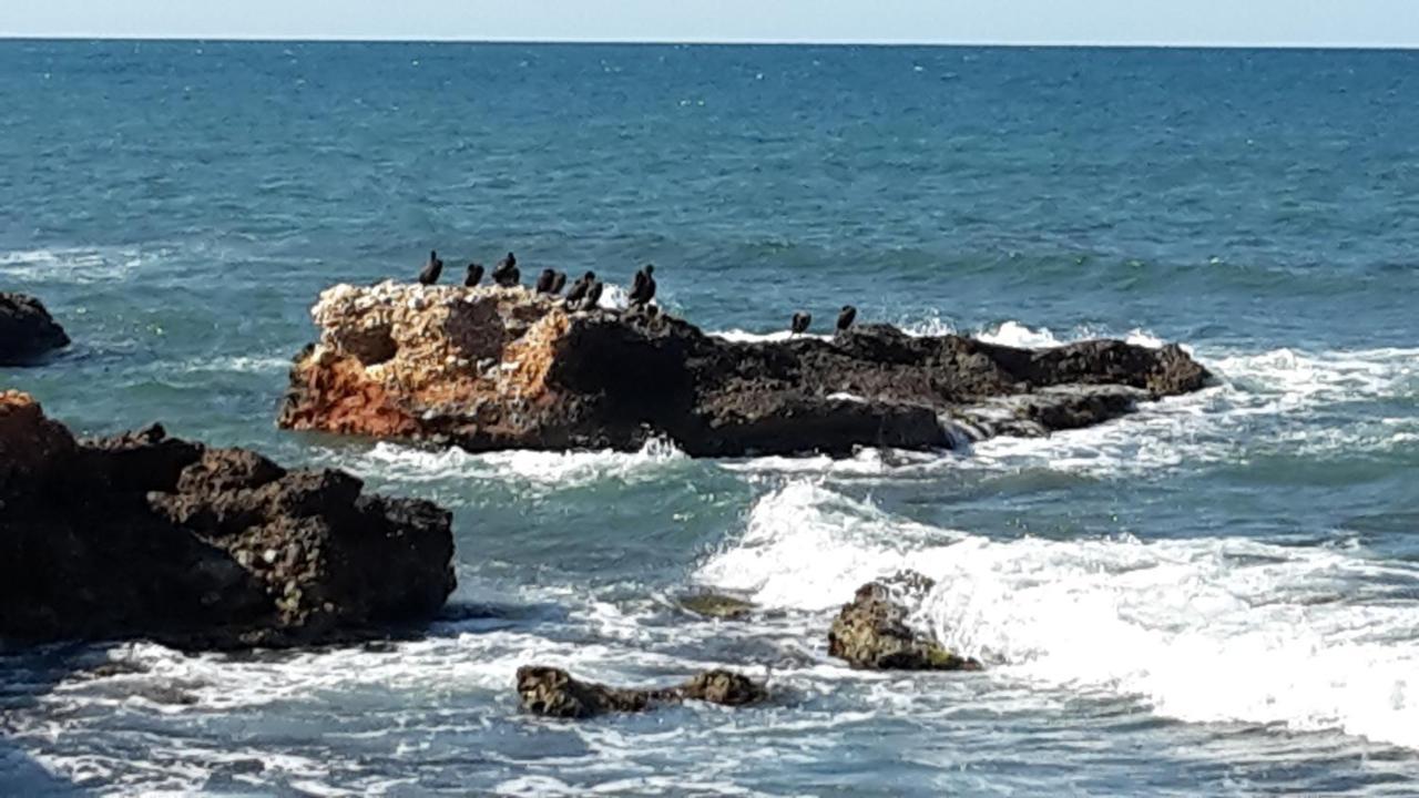 Precioso Apart Sur Y Norte Cerca Playa Y Centro - Cascadas De La Marina Denia Bagian luar foto