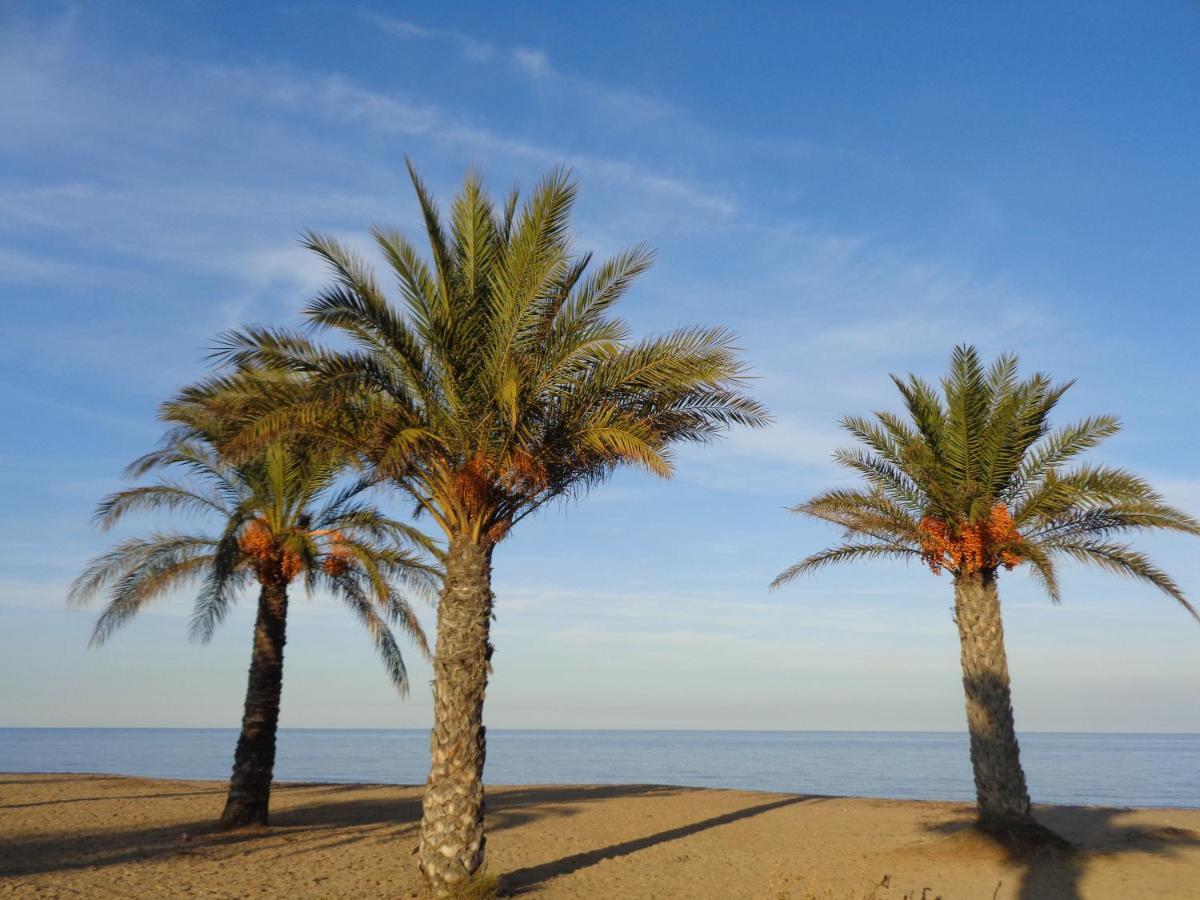 Precioso Apart Sur Y Norte Cerca Playa Y Centro - Cascadas De La Marina Denia Bagian luar foto
